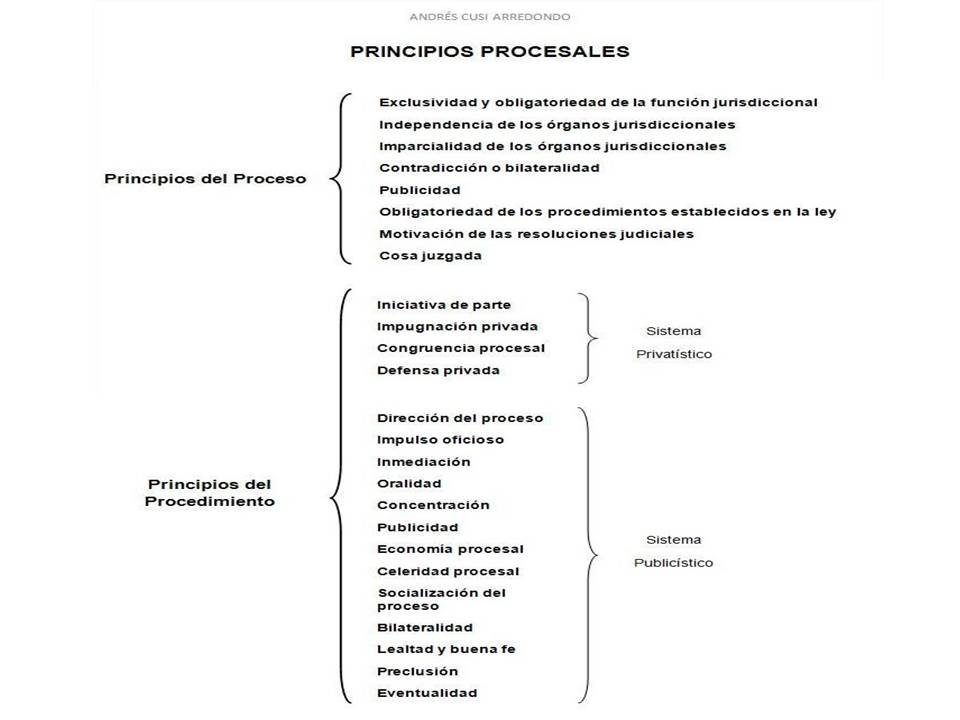 Principios procesales